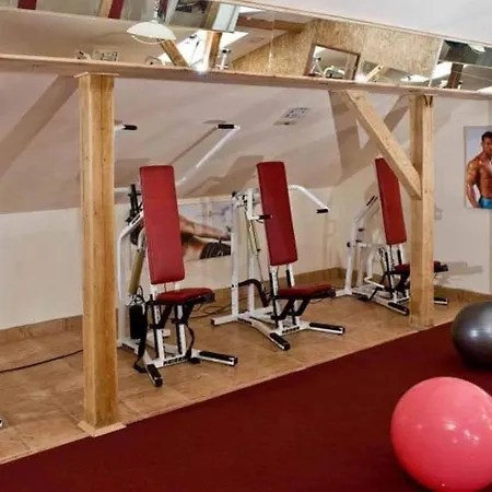 Castle Wellness Bed & Breakfast 3* Nyíregyháza