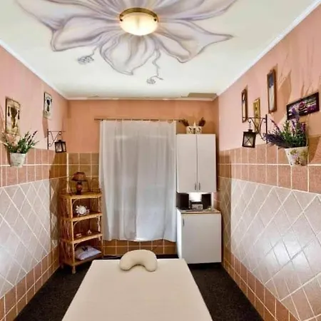 Castle Wellness Bed & Breakfast Bed & Breakfast 3*