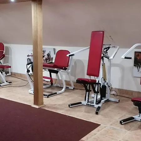 Bed & Breakfast Castle Wellness Bed & Breakfast Nyíregyháza