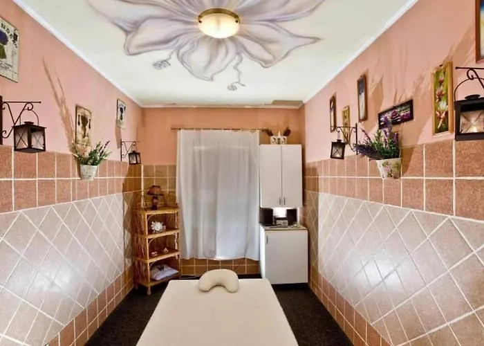 Castle Wellness Bed & Breakfast Bed & Breakfast 3*