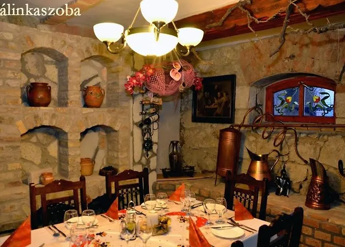 Castle Wellness Bed & Breakfast 3* Nyiregyhaza